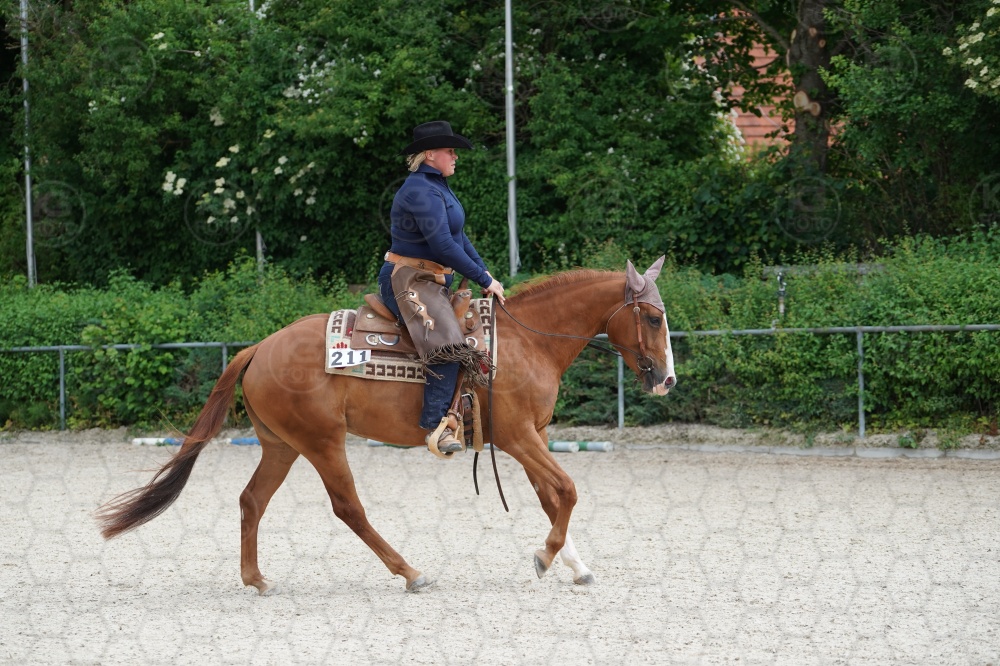 s_A9_09257.jpg